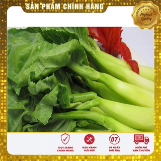 Hạt Giống Cải Làn Mập