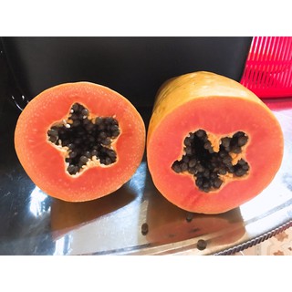 10H - HẠT GIỐNG ĐU ĐỦ RUỘT ĐỎ