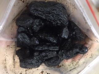 Thục địa 1kg