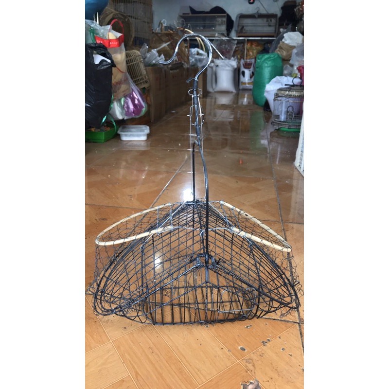 Lụp đen bẫy chào mào, bông lau....