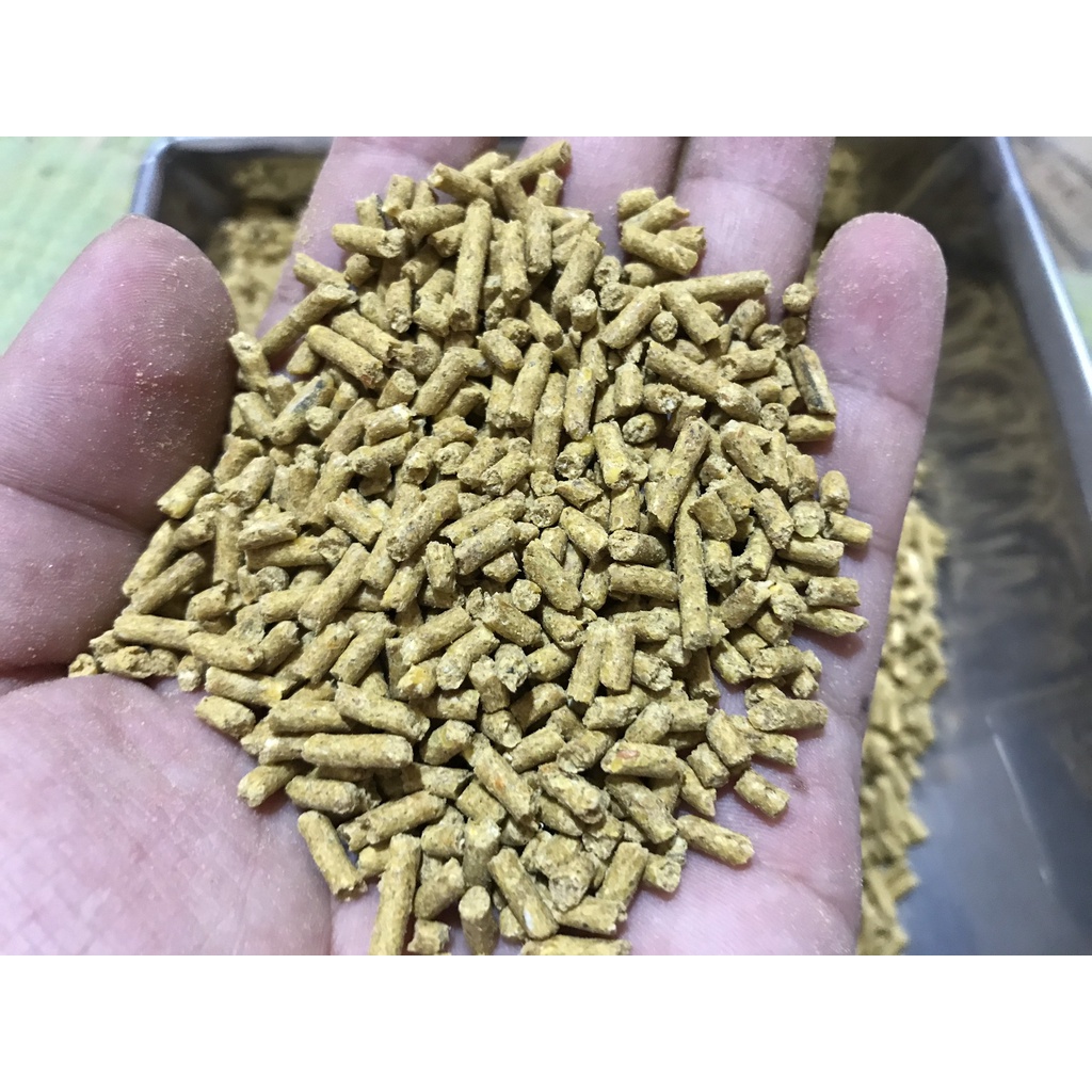 Cám Gà Con - Cám Gà Đẻ | Thức ăn hỗn hợp cho gà con, gà đẻ, gà thịt