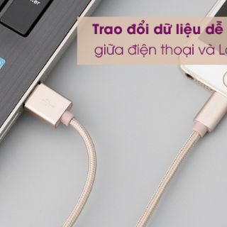 Cáp Lightning MFI 2 m Mbest DS287-WB Gold