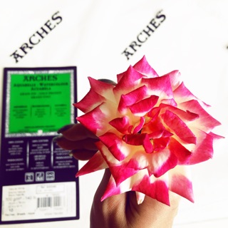 Cực Phẩm Hoạ Cụ