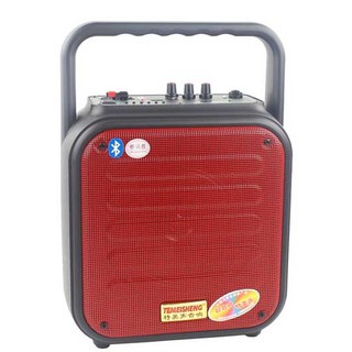 Loa Karaoke , Trợ giảng Temeisheng A6-4