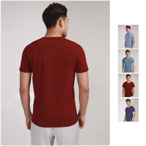 Áo phông nam cổ tròn T-shirt ngắn tay Aristino ATS010S8