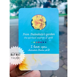 Card hoa dâm bụt (thẻ giấy)
