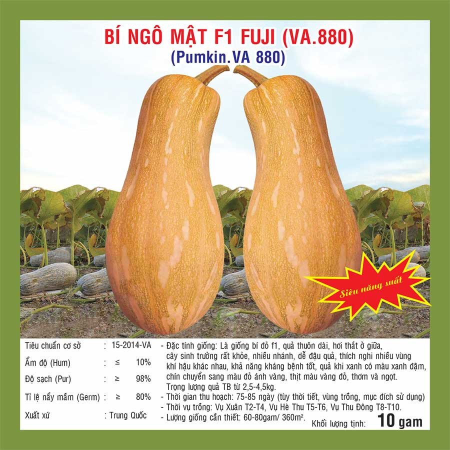 Hạt giống Bí Ngô Mật F1 Fuji  10gram
