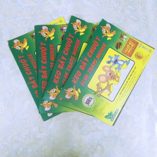 Combo 5 Miếng Keo Dán Chuột Siêu Dính