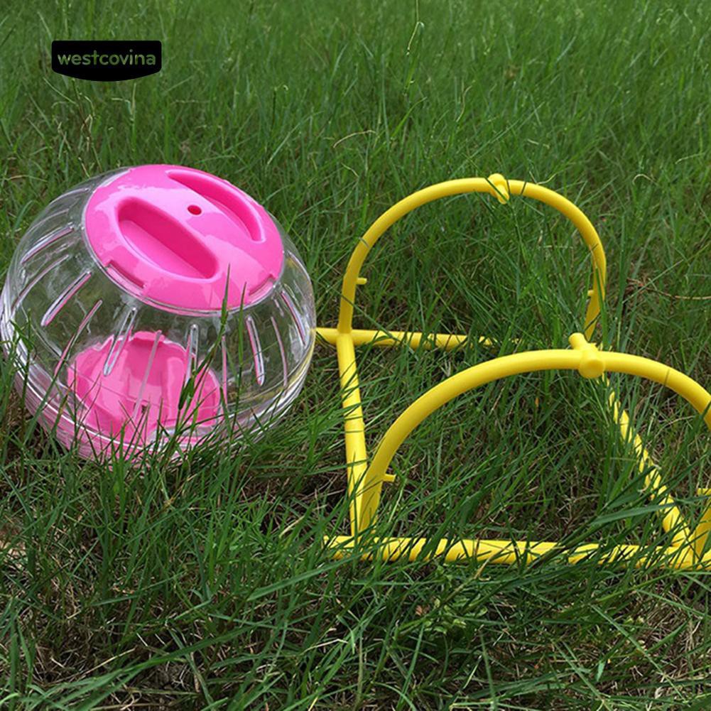 Bóng lăn đồ chơi cho chuột Hamster