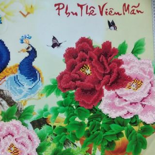 (ĐÃ ĐÍNH)Tranh đá Phu Thê Viên Mãn DF064