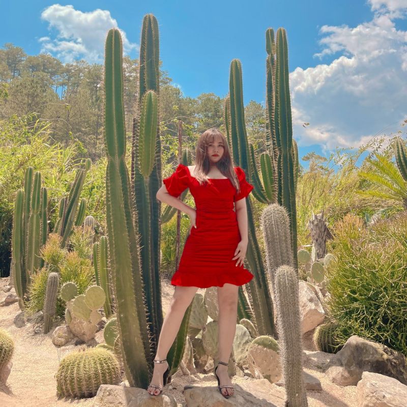 Đầm nhún cổ u bigsize