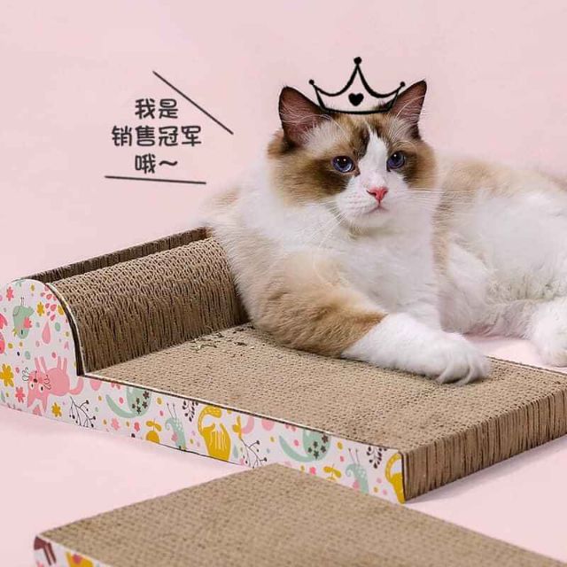 Bàn cào móng có khe bóng đồ chơi