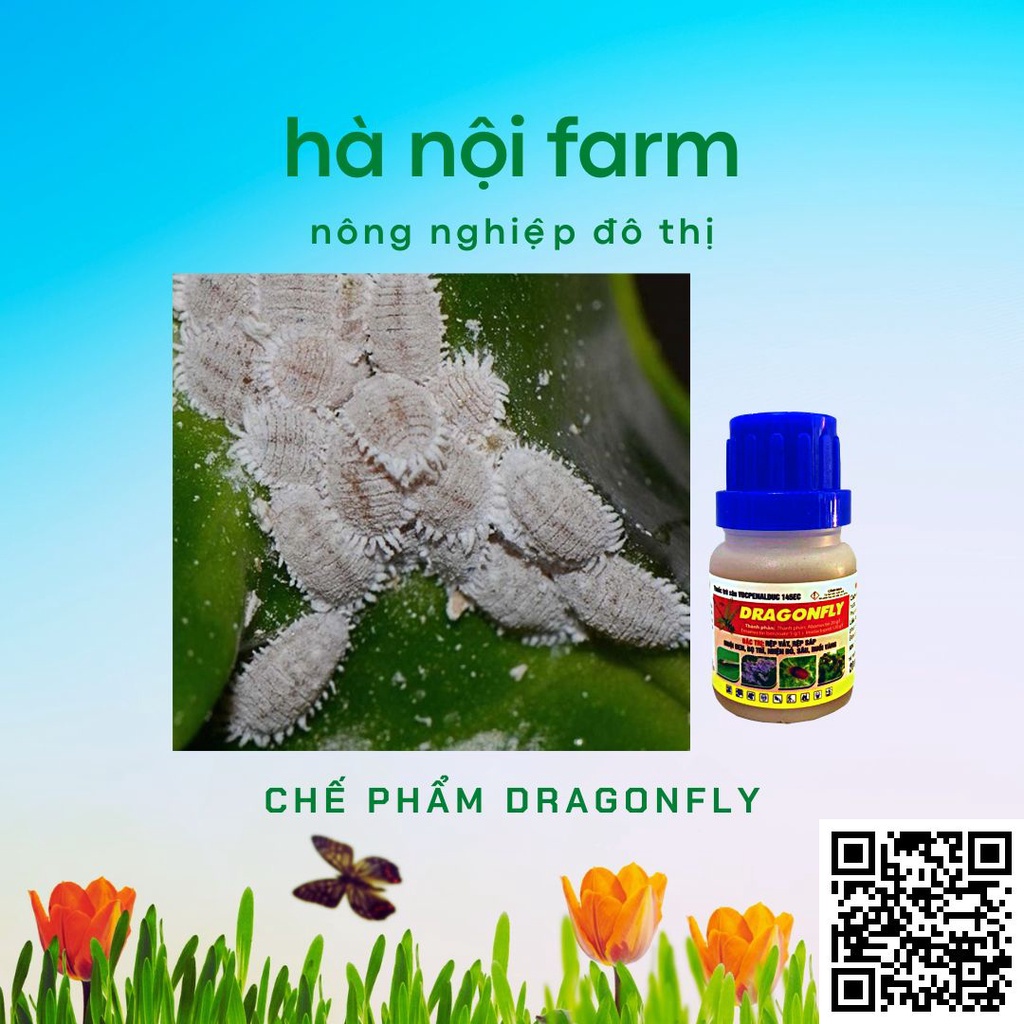 Đặc trị rệp sáp rệp vảy, sâu đục thân, bọ trĩ - lọ 20ml
