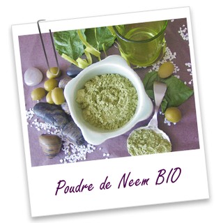 Bột Neem BIO 100gram AROMA ZONE