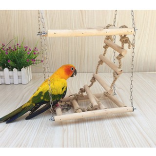Xích đu thang leo cho vẹt