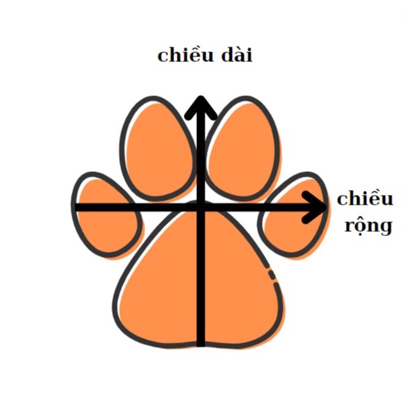 ?️🌧️🌧️ Giày đi mưa dành cho chó mèo 🌧️🌧️🌧️