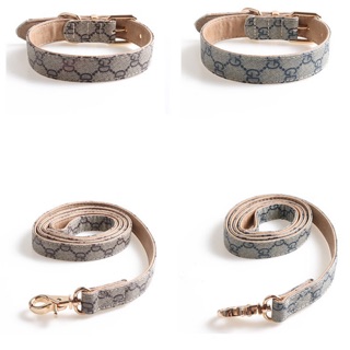 Vòng cổ và dây dắt hiệu gucci cho cún