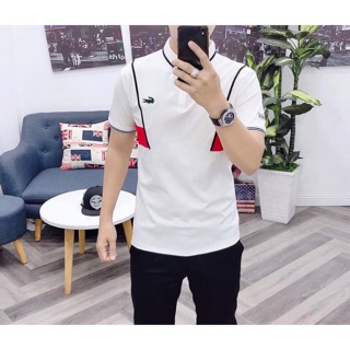 Áo thun nam có bâu hình cá sấu, phối viền