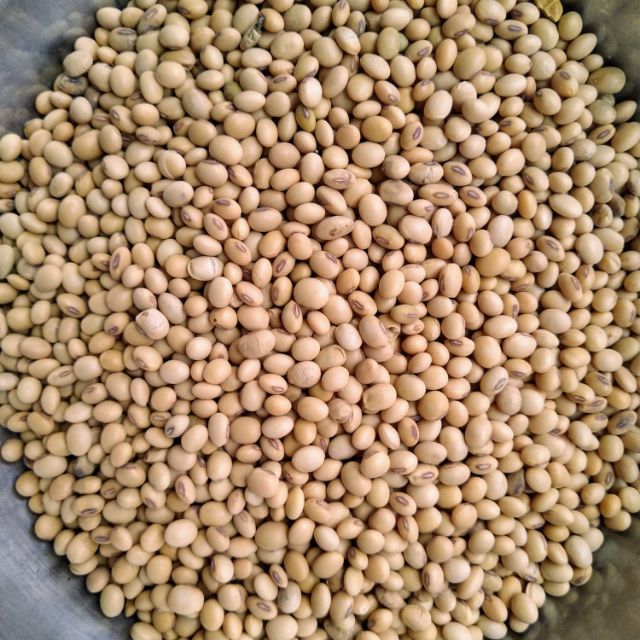 1kg Đậu nành Phương Lâm thơm, ngon