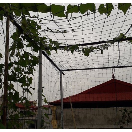 Combo 10 mét lưới trồng cây màu đen khổ rộng 2m