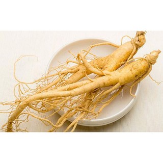 Mặt nạ dẻo Hồng Sâm handmade