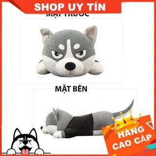 Chó Husky Bông, Chó Bông Huskey