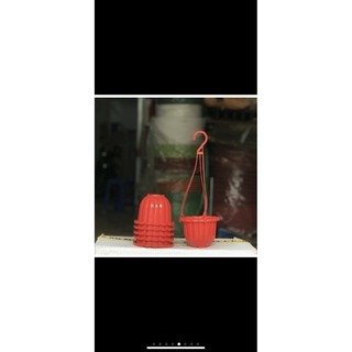 chậu treo mini