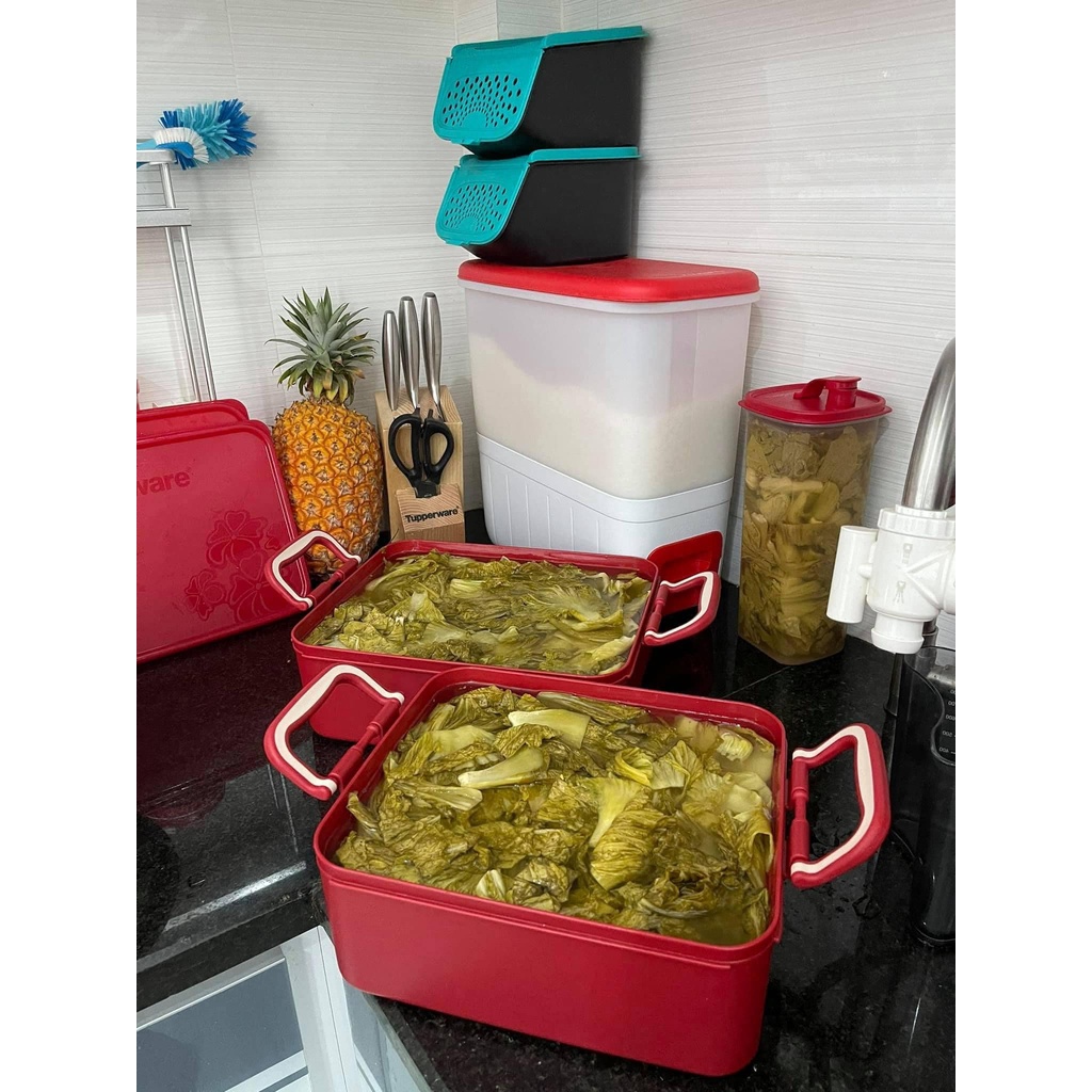 Bộ hộp bảo quản thực phẩm ngâm  Tupperware dung tích lớp không sợ bám màu hàng chính hãng bảo hành trọn đời