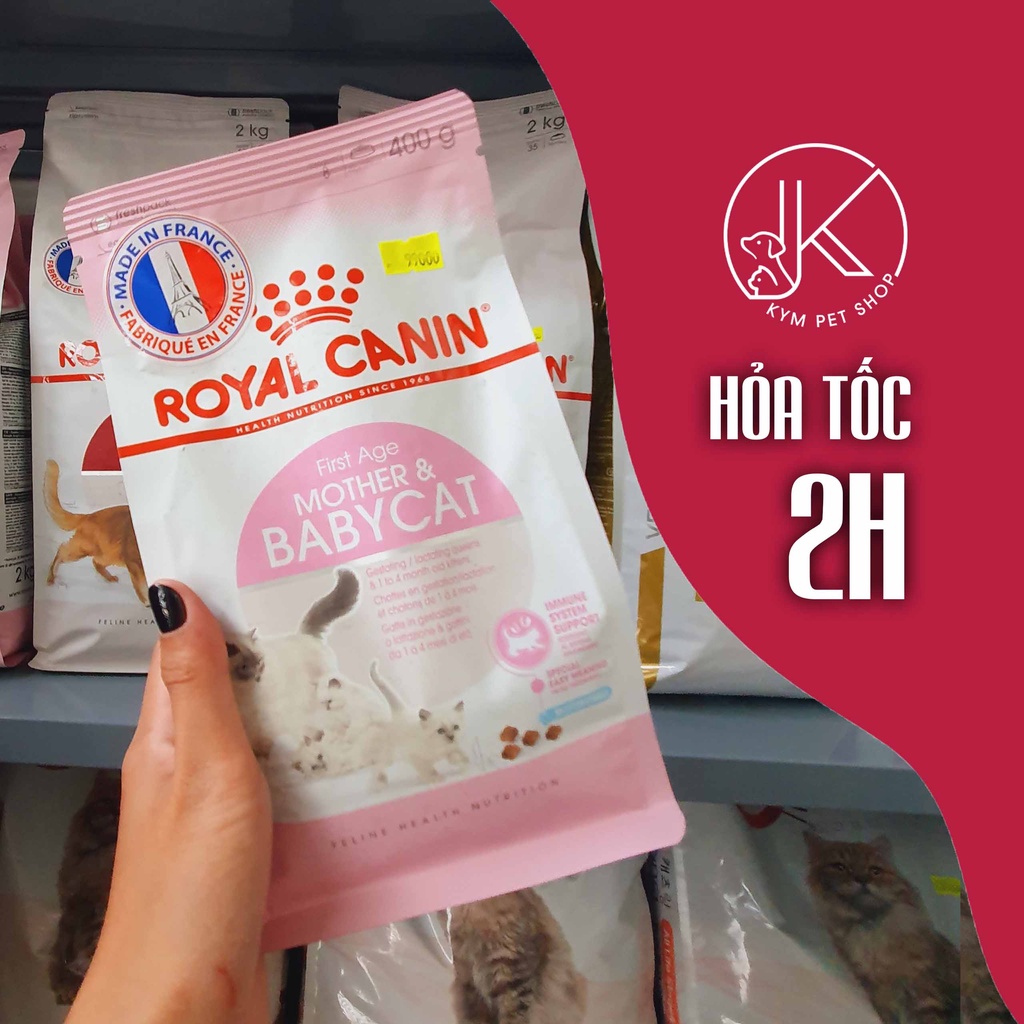 ROYAL CANIN MOTHER & BABY CAT - Thức ăn hạt khô cho mèo mẹ và mèo con dưới 4 tháng tuổi