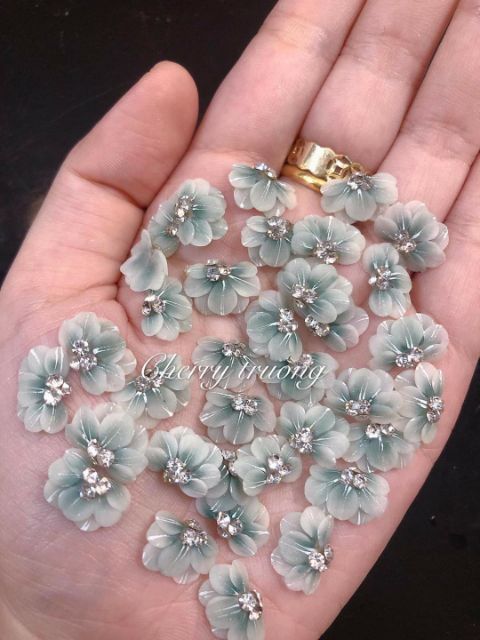 Hoa bột _ hoa cúc ôm móng