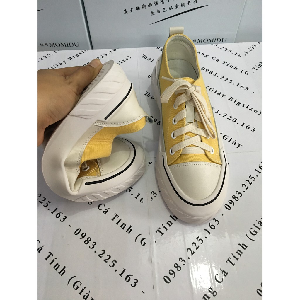 HÀNG CÓ SẴN SIZE (40➡️43)_ Giày bata nữ Bigsize