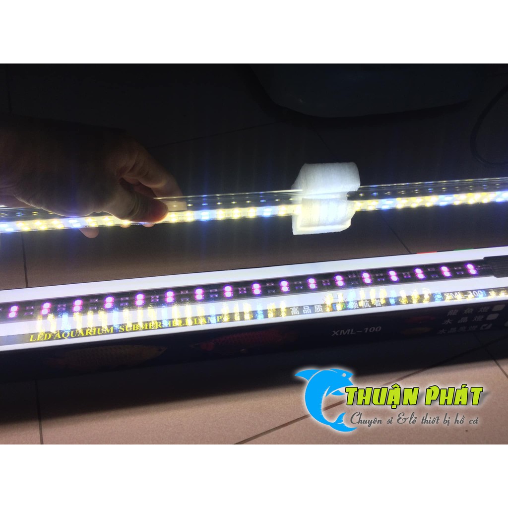 Đèn Hồ Cá XuanMeiLong XML 60 - 2 hàng Led phiên bản thủy tinh Siêu đẹp XML60 cm