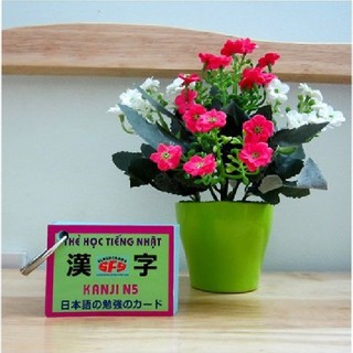 [chính hãng] Thẻ Học Tiếng Nhật Kanji N5