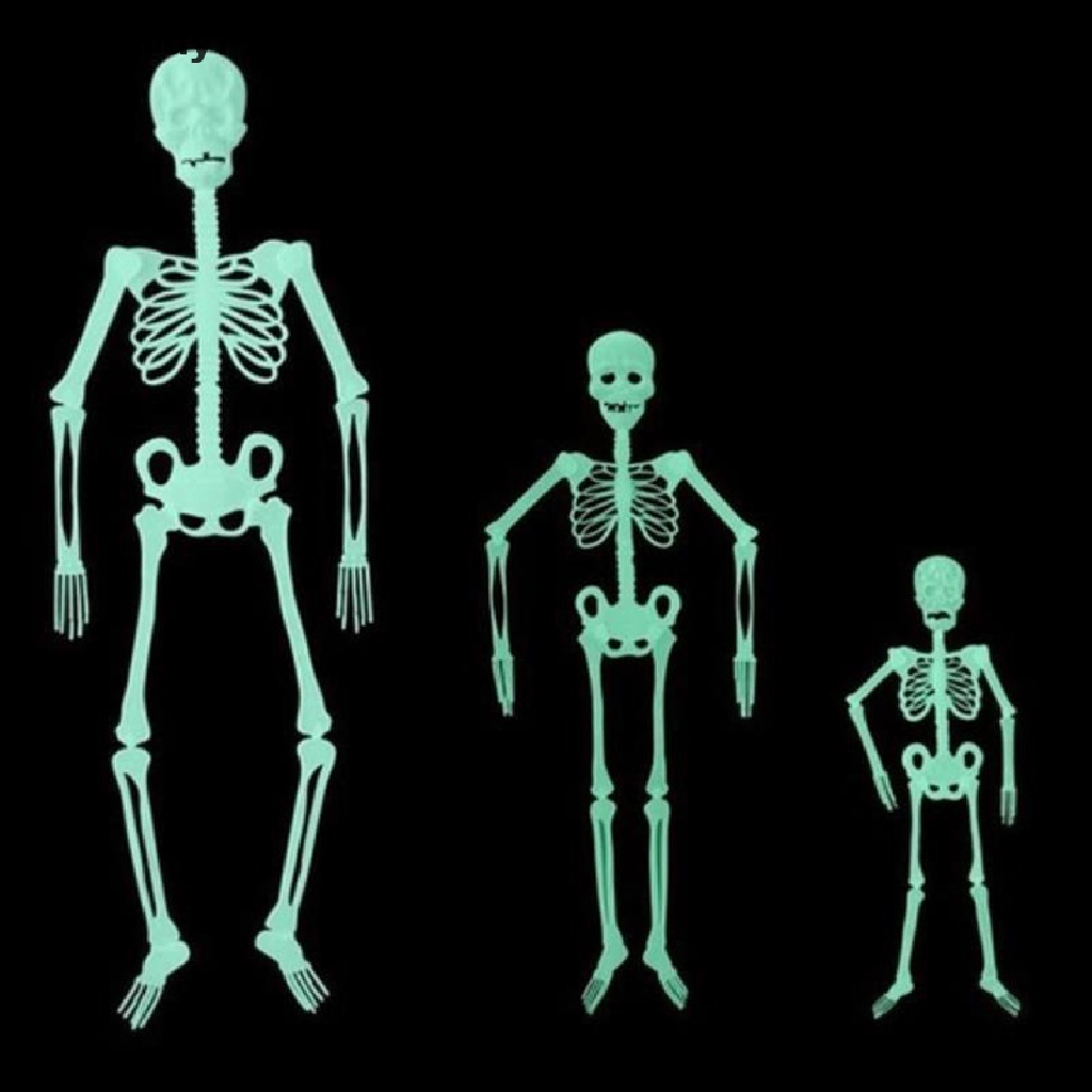 Bộ Xương Người 32 / 90 / 150cm Dùng Trang Trí Halloween