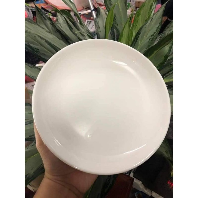 Đĩa sứ sâu lòng 20cm