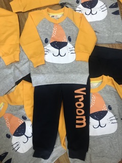 Bộ hổ hm da cá