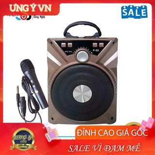Loa karaoke xách tay mini bluetooth p88 + tặng kèm micro