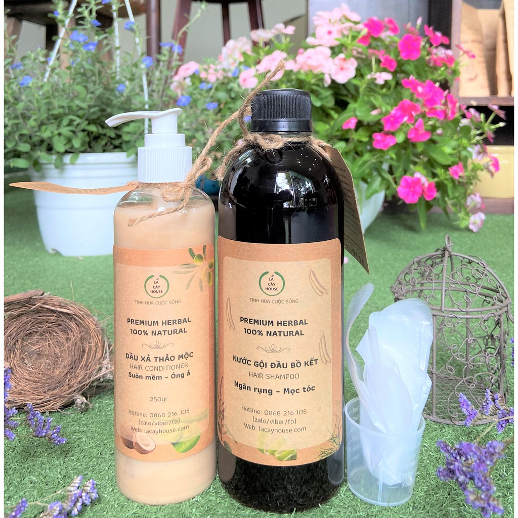 Dầu gội Bồ Kết Thảo Dược 250ML | BigBuy360 - bigbuy360.vn