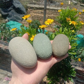 Đá Kỳ Tẩy Da Chết Đá Cuội Kỳ Lưng