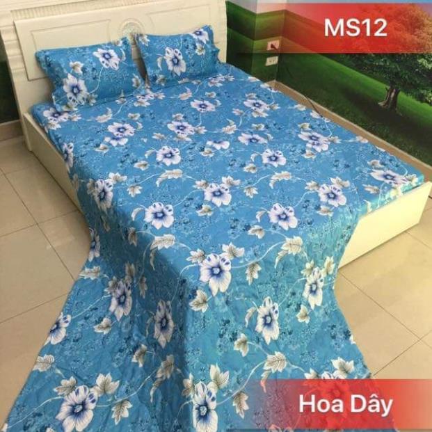 Ga trải giường bọc đệm M2 M5 M6
