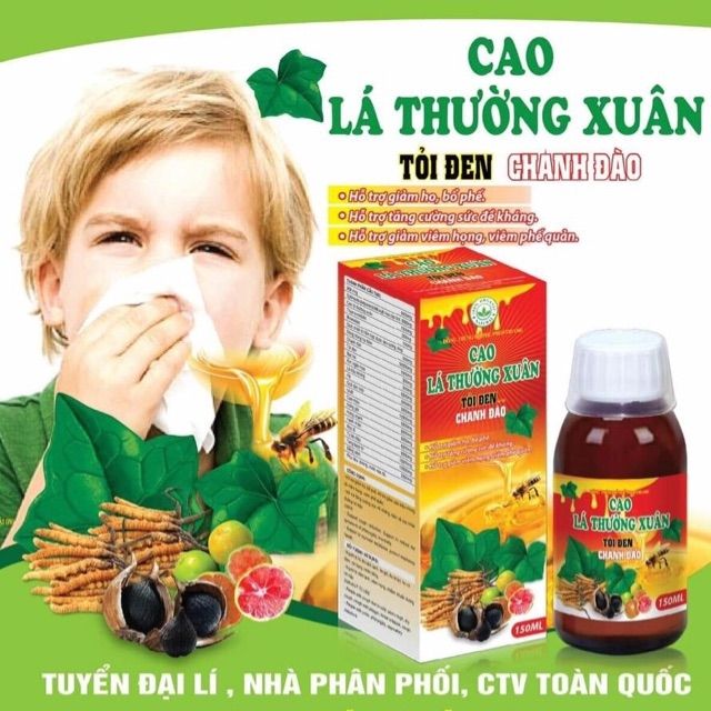 Cao Lá Thường Xuân Tỏi Đen Chanh Đào (cao ho)