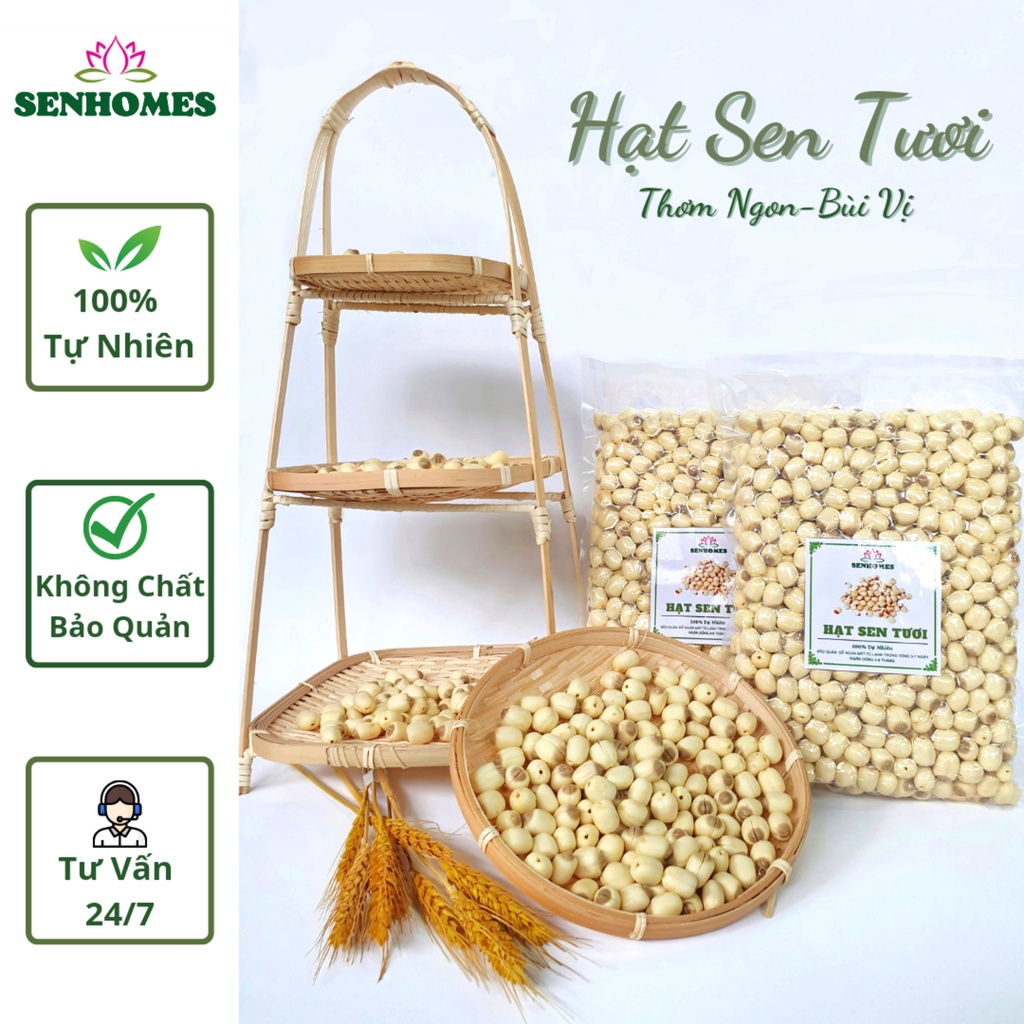 1 KG Hạt Sen Tươi Tách Vỏ- Bỏ Tim -Bùi Vị Ngọt Thanh SENHOMES GROUP