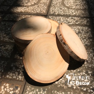 (Combo) 5 khoanh gỗ tròn 7cm - 7,5cm