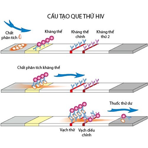 Bộ que test HIV, Kít test HIV tại nhà ( có che tên) đơn giản chính xác - Soleil care