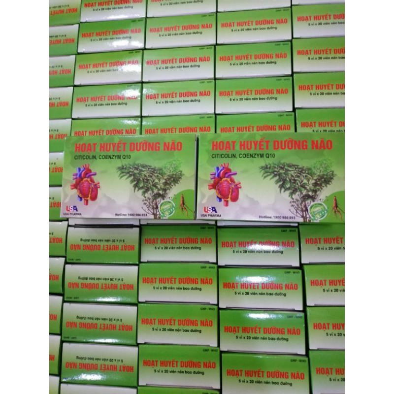 Hoạt huyết dưỡng não, hỗ trợ hoạt huyết, tăng cường tuần hoàn máu não.