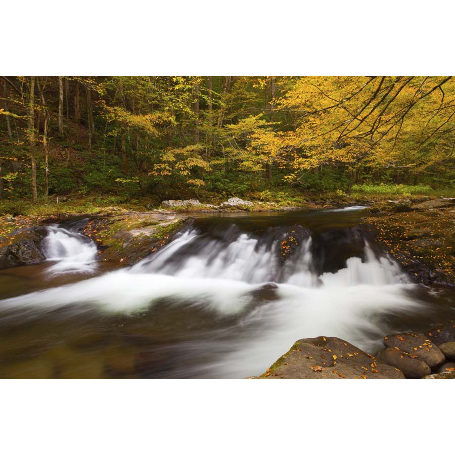 Tranh dán tường 3D cảnh thác nước hùng vỹ khiến bất kỳ du khách nhìn cũng phải trầm trồ kinh ngạc