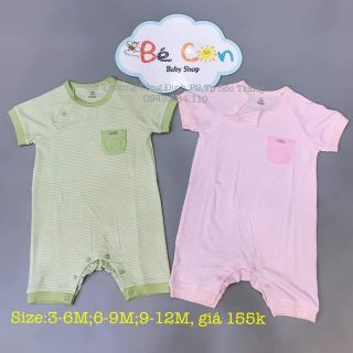 [ Nous sale 8%] Body cộc kẻ xanh cốm trắng Nous