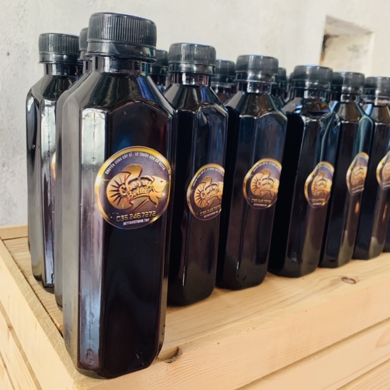 Nước sâm form betta, cá lóc sung khoẻ. Thay thế nước lá bàng