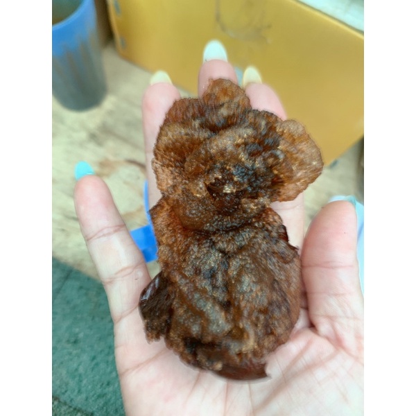 500gr Hạt Đười Ươi Bay loại 1| Đặc Sản Núi Rừng Tây Nguyên