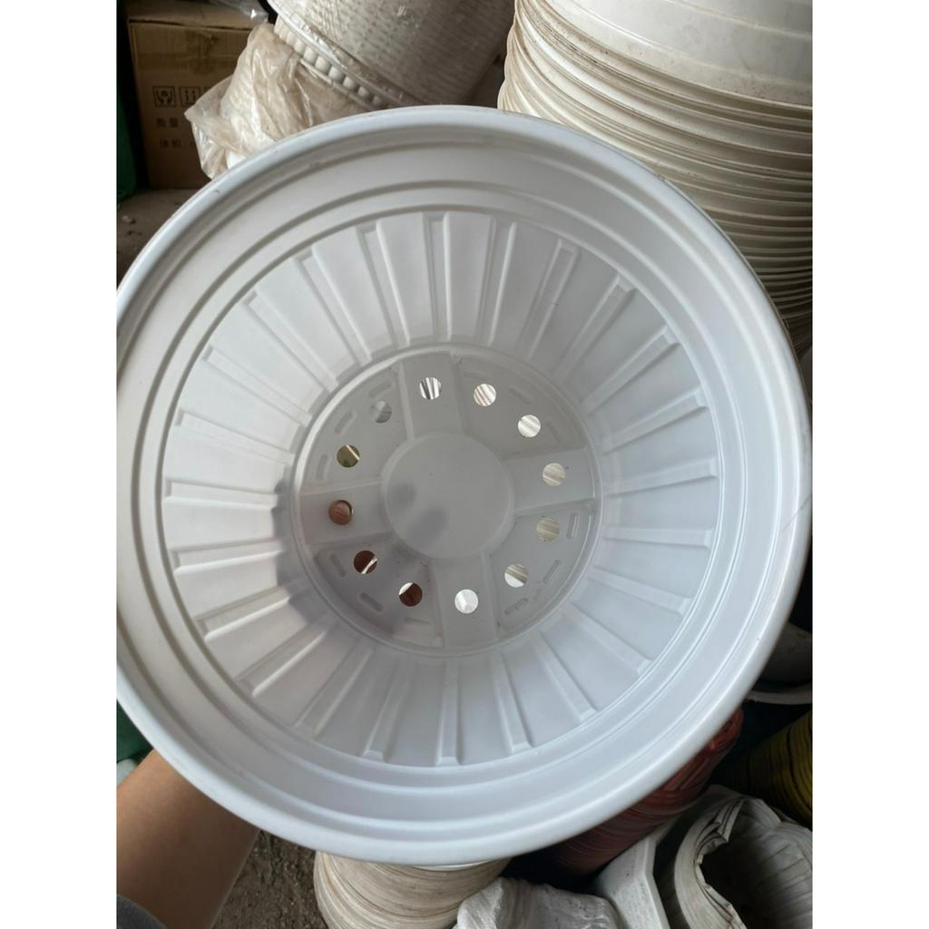Chậu nhựa mỏng vành cứng trồng cây-Chậu nhựa TTK 150, TTK 180, TTK 200, TTK 230, TTK 260, TTK 280
